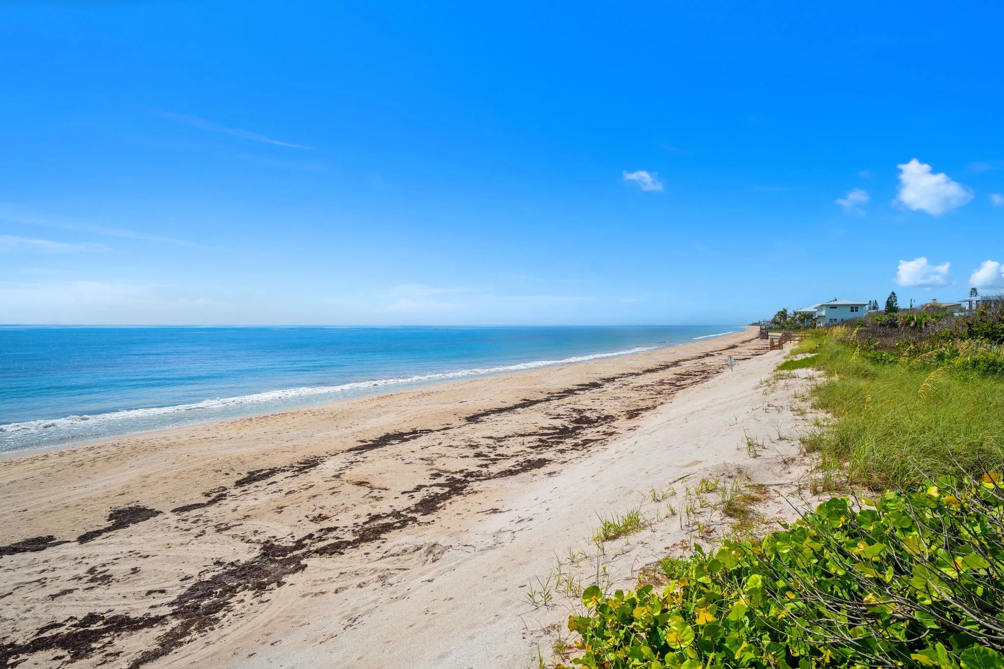 Atlantic shoreline with seagrape dunes curving north toward neighboring estates