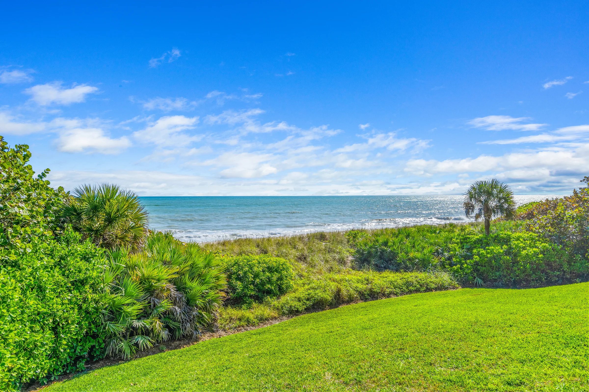 Atlantic horizon seen from the rear lawn, framed by sea grape, palmetto, and dune-edge palms