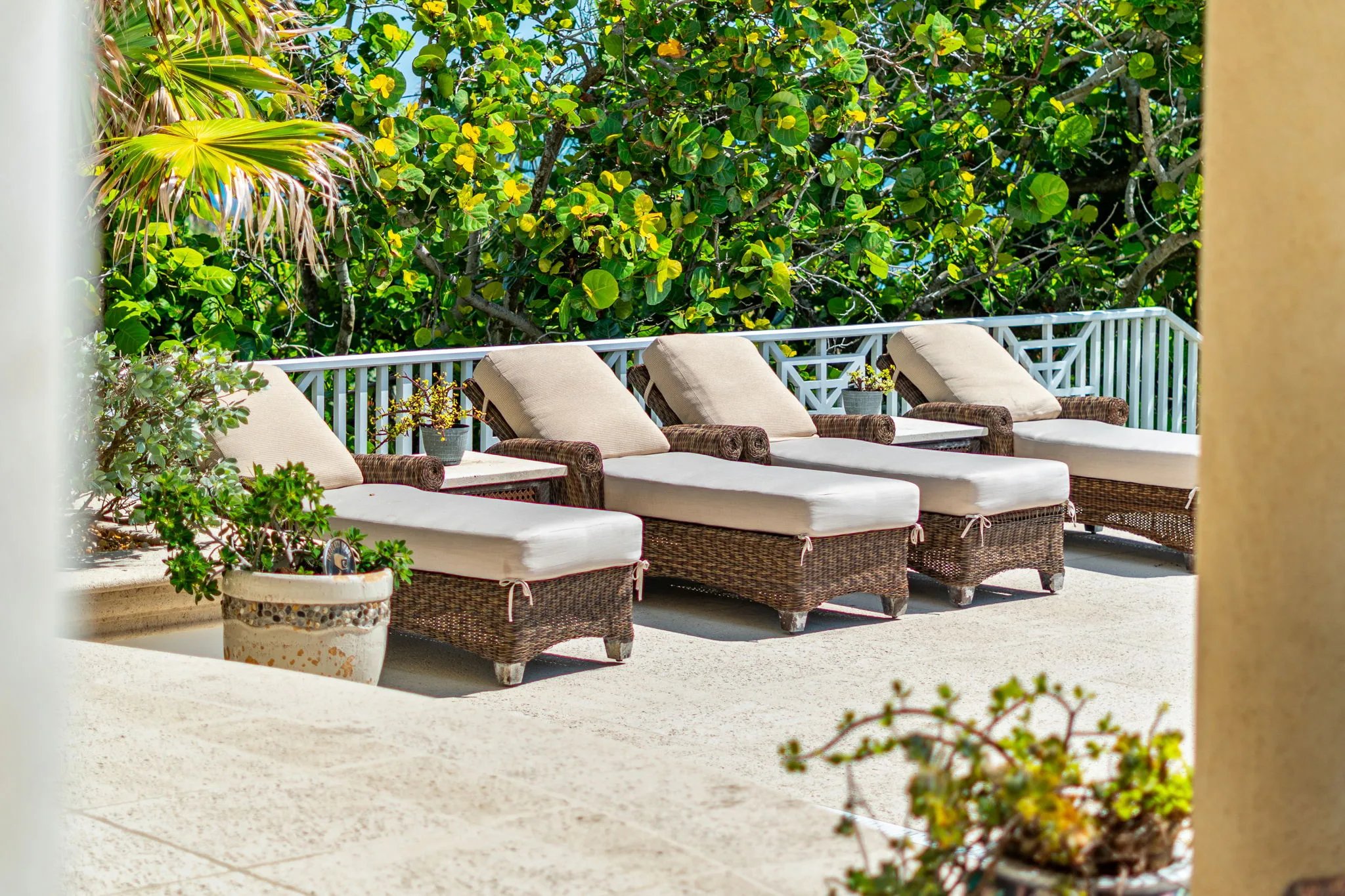 Row of wicker chaises against sea-grape hedge along the pool terrace