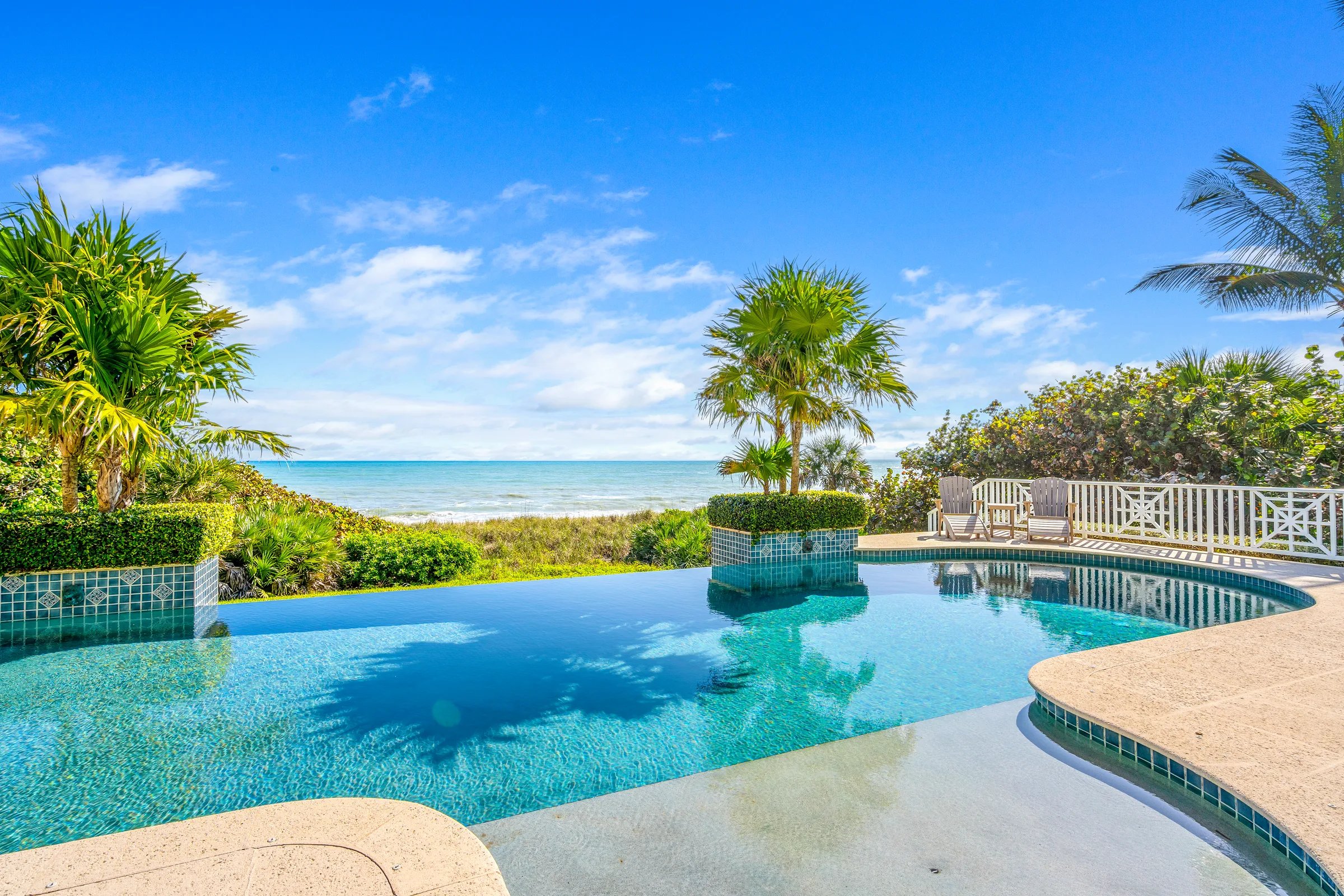 Pool framed by palms