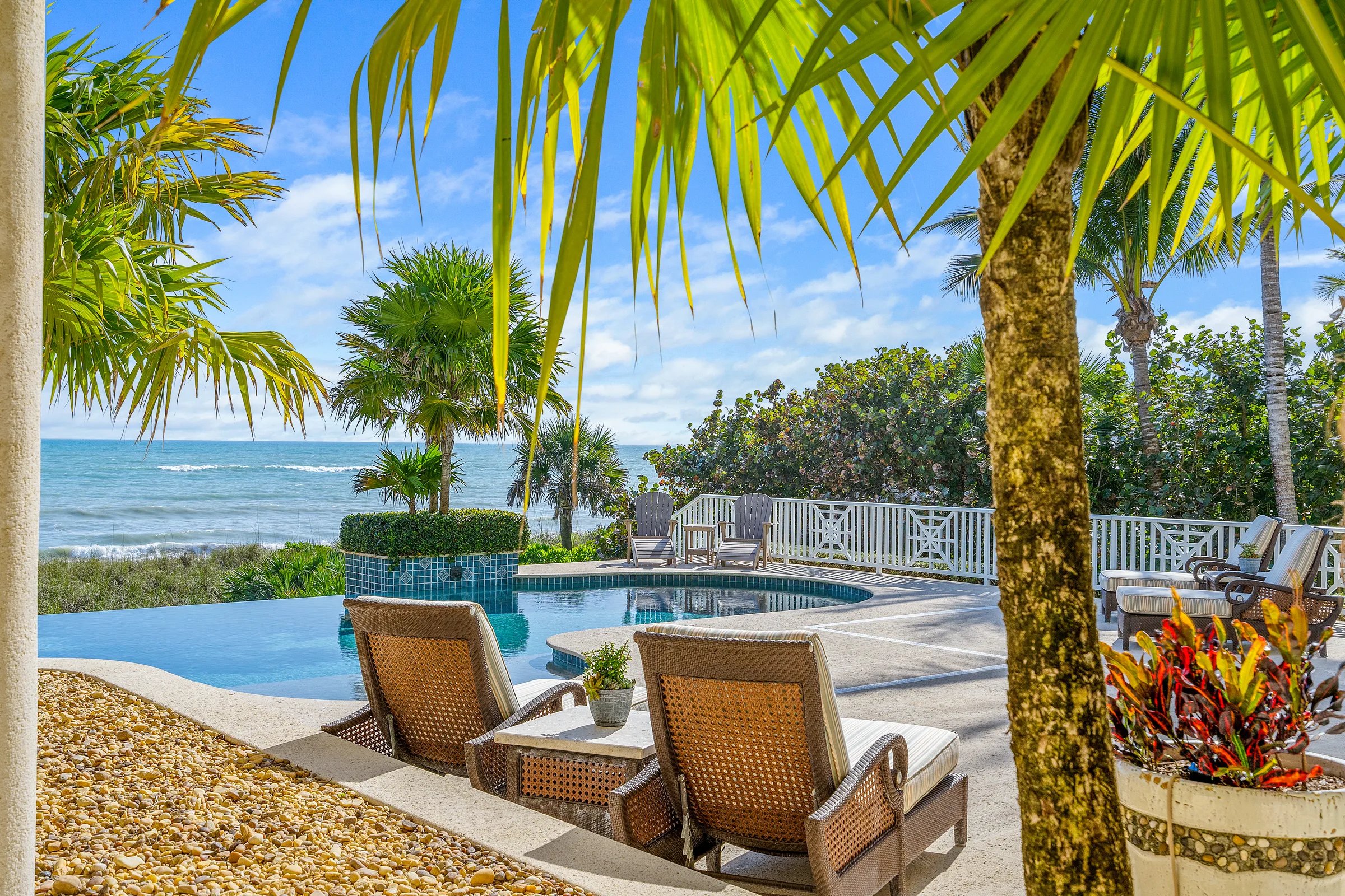 Intimate pool view with palms